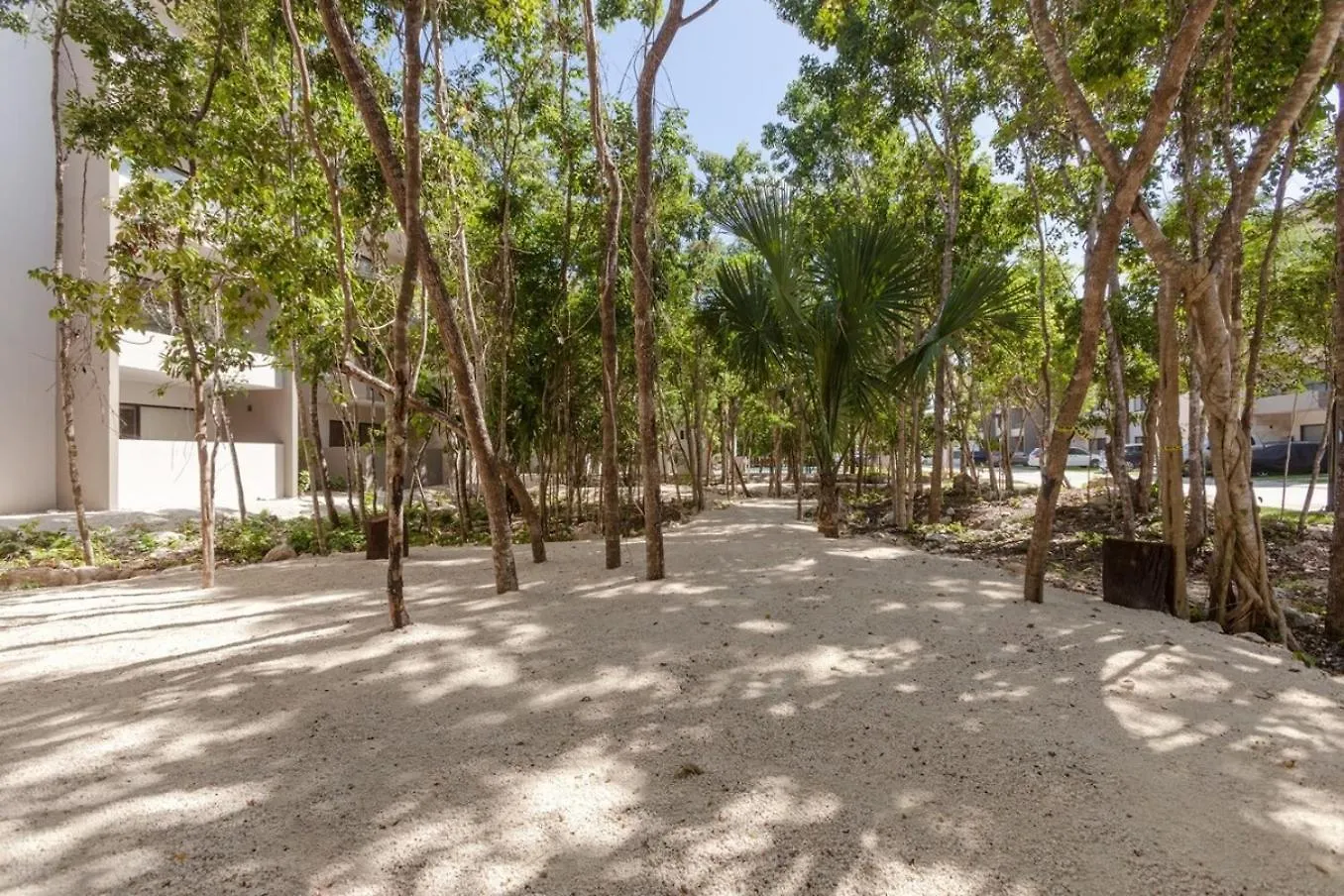 Family Condoph 10Min To Beach Wifi 200Mb Gym بلايا ديل كارمن