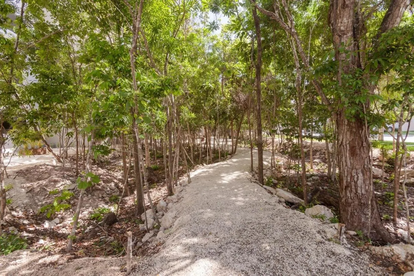 Family Condoph 10Min To Beach Wifi 200Mb Gym Playa del Carmen 0*,  Mexico